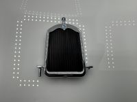 1925 Buick 25 Grill