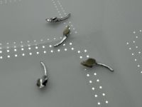 Jaguar 420 G Mark X Trgriffe