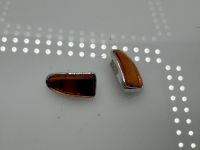 Jaguar 420 G Mark X Blinker