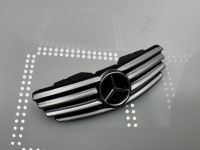 2003 Mercedes 500 SL Grill
