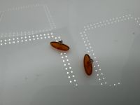 Chevrolet Corvette Indy 500 Positionsleuchten