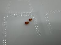 Lamborghini Mirua Seitenblinker