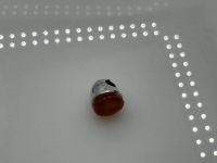 Moto Guzzi California 1100i Blinker