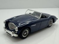 Austin-Healey 100