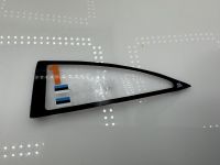 2011 Ford Focus WRC Rally Saaremaa Seitenscheibe Links