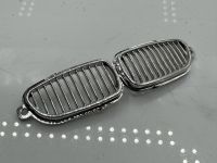 BMW 550i F10 Nieren