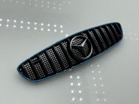 Mercedes GT AMG GT3 SAP Grill