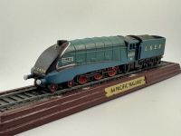 A4 Pacific Mallard