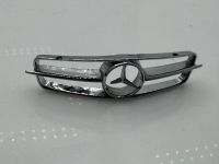 Mercedes 300 SL Gullwing Grill