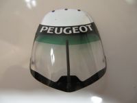 Peugeot 908 HDI Windschutzscheibe