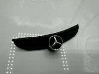 Mercedes SLK 55 AMG Grill