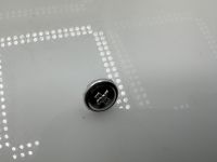 Shelby Mustang 350 GT Emblem