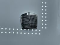 Mercedes 250 SE Coup Grill