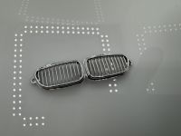 BMW 550i Touring Nieren