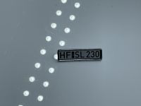 Mercedes 230 SL Nummernschild