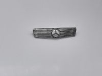 Mercedes 500 SL Grill