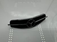 Mercedes 190 SL Grill