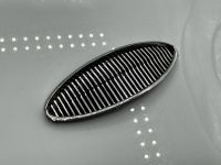 Austin Healey 3000 Grill