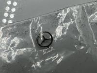 Mercedes C-Klasse T-Modell Stern