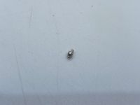 1979 Dodge Ramcharger Antenne
