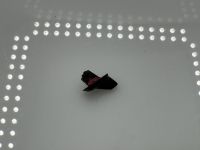 2012 VW Beetle Antenne