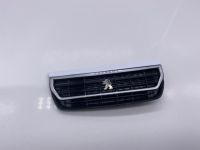 2017 Peugeot Partner Police Grill