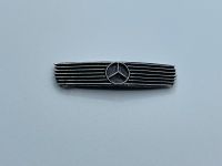 Mercedes 600 SEC Grill