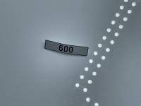 Mercedes 600 Nummernschild