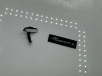 Porsche Mission-E Innenspiegel + Nummernschild