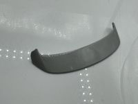 Porsche Mission-E Dachspoiler
