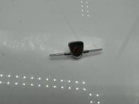 Fiat 500 Abarth Emblem Vorne