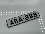 Volvo 142 Rally Castrol Nummernschild