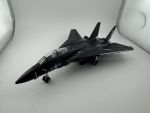 F-14 Tomcat Black Bunny