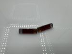Skoda 100 L R�cklichter