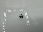 Nissan Skyline R34 JGTC Emblem