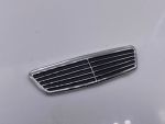 Mercedes S55 AMG Grill