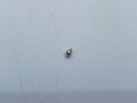 1979 Dodge Ramcharger Antenne
