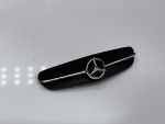 Mercedes AMG GT S Grill