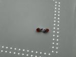 BMW 507 Cabrio Blinker